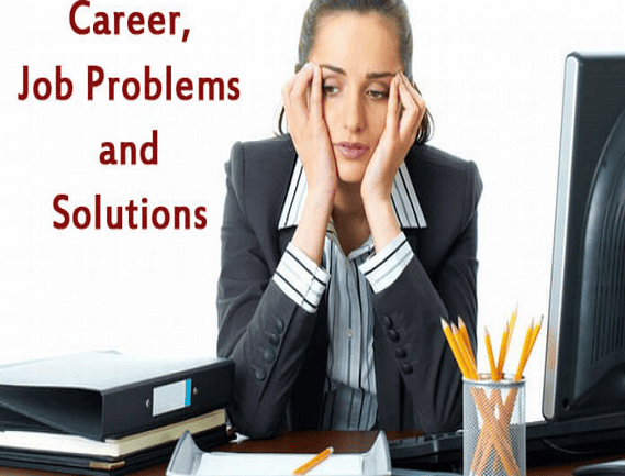 Service Provider of Career Job Problem Solution in Noida, Uttar Pradesh, India.