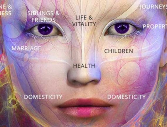 Service Provider of Face Reading in Noida, Uttar Pradesh, India.