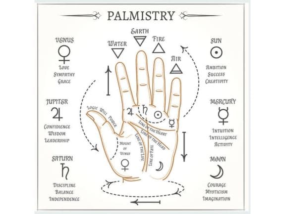 Service Provider of Palmist Solution in Noida, Uttar Pradesh, India.